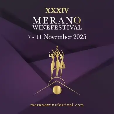 The Festival - Single Ticket